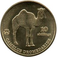 10 шиллингов 2021 «Верблюд» Биафра (Нигерия), фото 1 