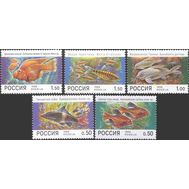 1998. 425-429. Фауна. Аквариумные рыбы. 5 марок, фото 1 