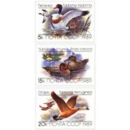  1989. СССР. 6017-6019. Утки. 3 марки, фото 1 