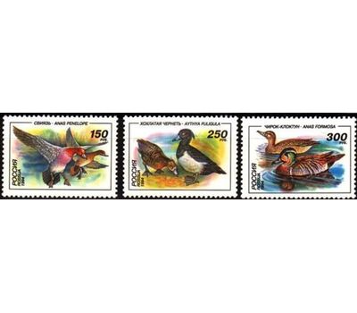  3 почтовые марки «Утки» 1994, фото 1 