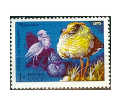  5 почтовых марок «Фауна» СССР 1975, фото 2 