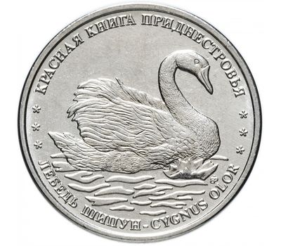  Монета 1 рубль 2018 «Красная книга — Лебедь-шипун» Приднестровье, фото 1 