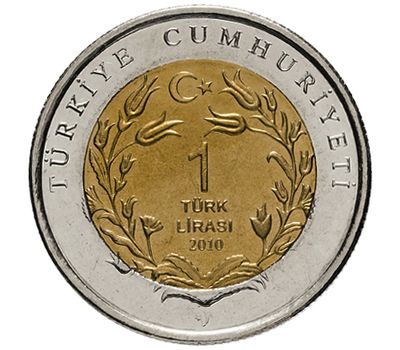  Монета 1 лира 2010 «Кошка (Фауна)» Турция, фото 2 