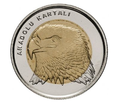  Монета 1 лира 2014 «Орел-могильник (Красная книга)» Турция, фото 1 