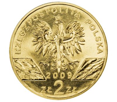  Монета 2 злотых 2009 «Зеленая ящерица (Lacerta viridis)» Польша, фото 2 