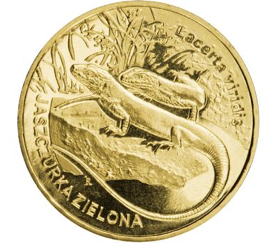  Монета 2 злотых 2009 «Зеленая ящерица (Lacerta viridis)» Польша, фото 1 