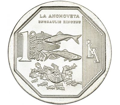 Монета 1 соль 2013 «Перуанский анчоус» Перу, фото 1 