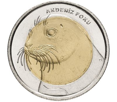  Монета 1 лира 2013 «Белобрюхий тюлень-монах (Красная книга)» Турция, фото 1 
