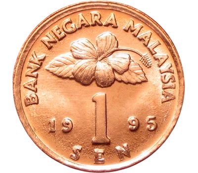  Монета 1 сен 1995 «Барабан» Малайзия, фото 2 