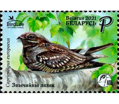  Почтовая марка «Обыкновенный козодой» Беларусь 2021, фото 1 