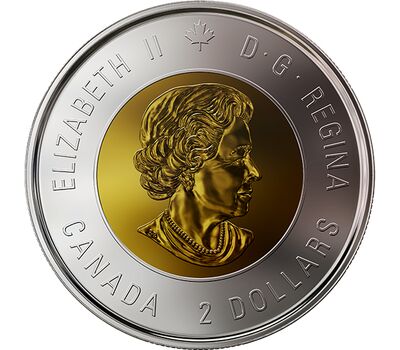  Монета 2 доллара 2018 «100 лет со дня окончания Первой Мировой войны» Канада, фото 2 