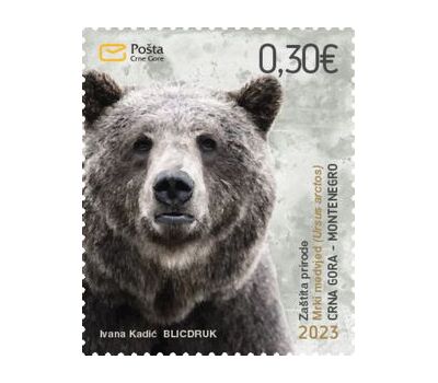  Почтовая марка «Фауна. Бурый медведь» Черногория 2023, фото 1 