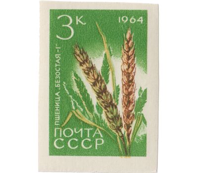  7 почтовых марок «Сельскохозяйственные культуры» СССР 1964 (без перфорации), фото 6 