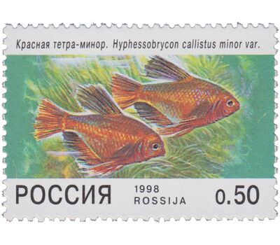  5 почтовых марок «Фауна. Аквариумные рыбы» 1998, фото 3 