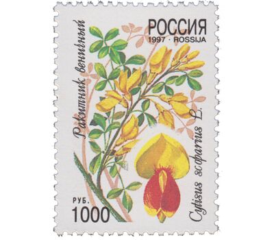  5 почтовых марок «Декоративные кустарники России» 1997, фото 2 