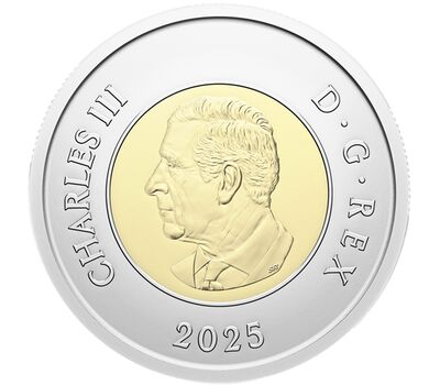  Монета 2 доллара 2025 «Неизвестный солдат. 25 лет репатриации» Канада (цветная), фото 2 