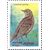  5 почтовых марок «Певчие птицы России» 1995, фото 3 