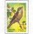  5 почтовых марок «Певчие птицы России» 1995, фото 6 